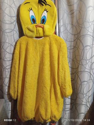 Vestito carnevale Titty e Silvestro