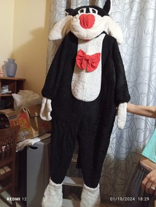 Vestito carnevale Titty e Silvestro