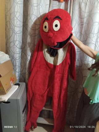 Vestito carnevale gabbibo