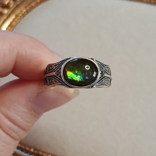 Anillo de plata amonita para hombre
