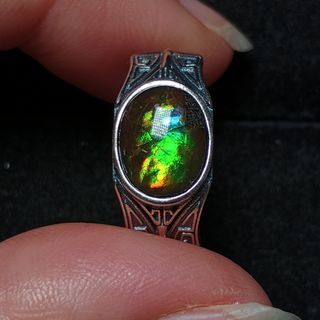 Anillo de plata amonita para hombre