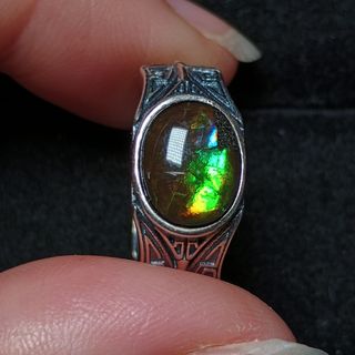 Anillo de plata amonita para hombre