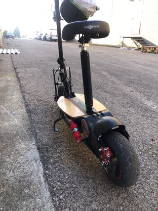 Patin Sparrow