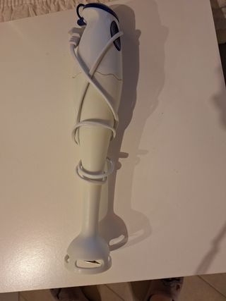 Frullatore ad immersione