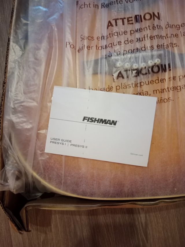 Guitarra electroacustica EKO one