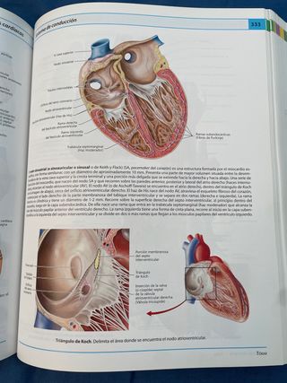 Atlas de anatomía humana