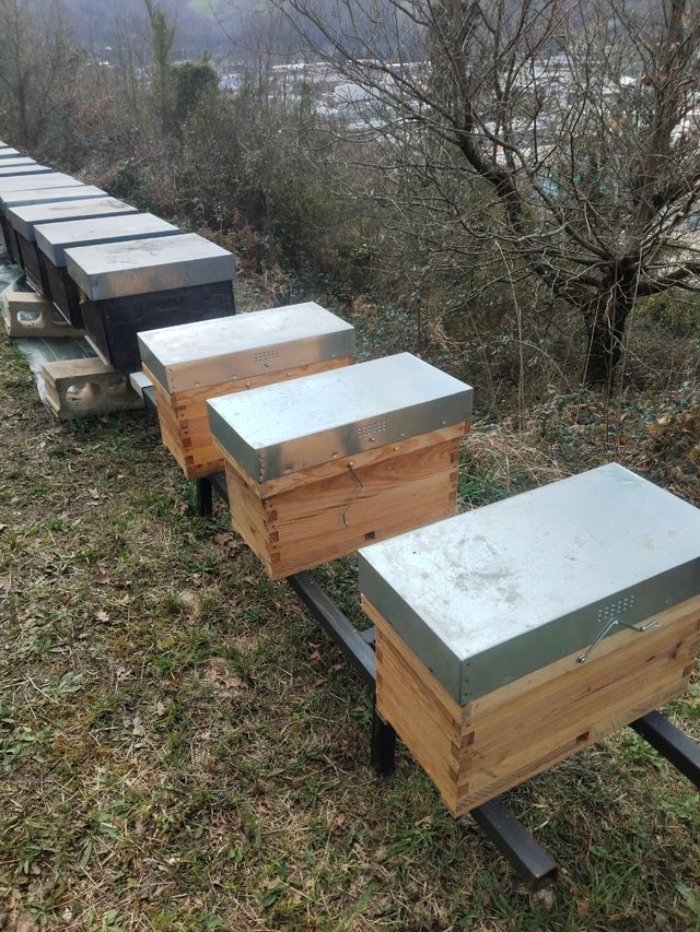 Núcleo langstroth enjambre