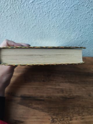 Libro Molly Moon detiene el Mundo