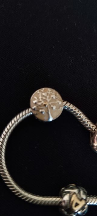 Pulsera Pandora moments con 6 Charms