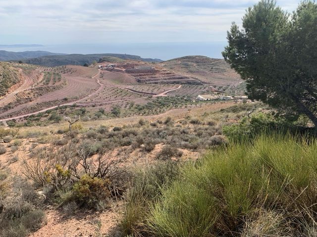 Vendo terrenos en Felix Almeria  diferentes precio