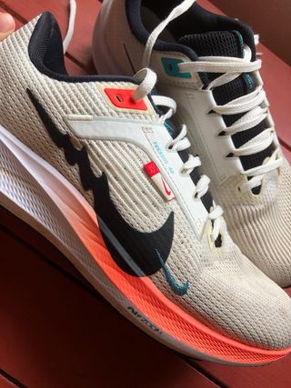 Nike pegasus 40