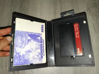 Wonder boy in Monster world