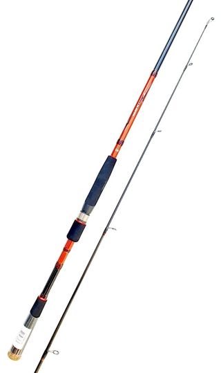 CAÑA SPINNING, CAÑAS PESCA, DAIWA, EGING