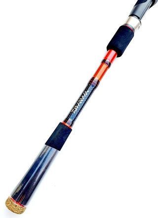CAÑA SPINNING, CAÑAS PESCA, DAIWA, EGING