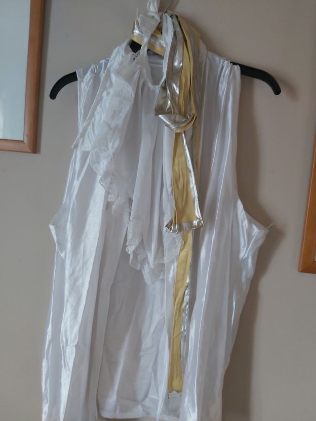 Fato carnaval toureiro