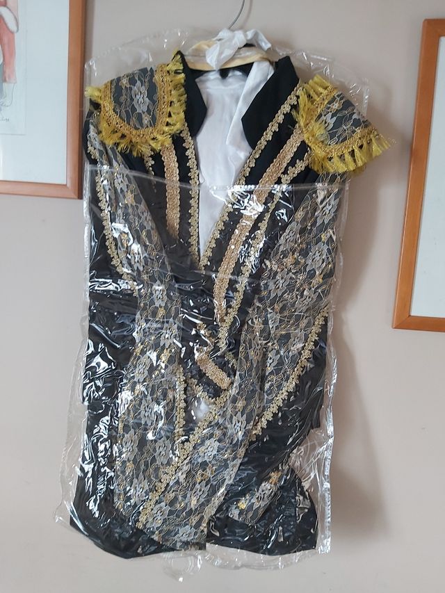 Fato carnaval toureiro