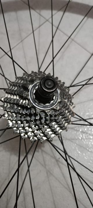 Rueda y rodillo Tacx trainer tire