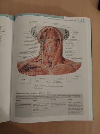 Libros de anatomia 2 tomos