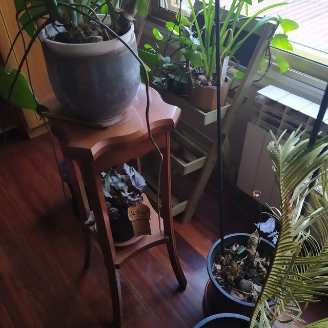 CONJUNTO SALON COMPLETO