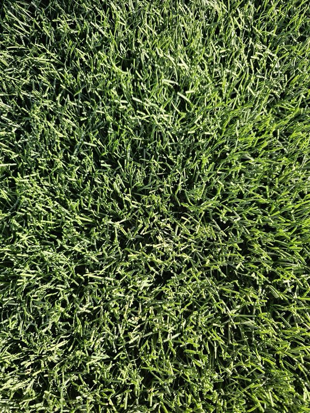 Cesped artificial oferta