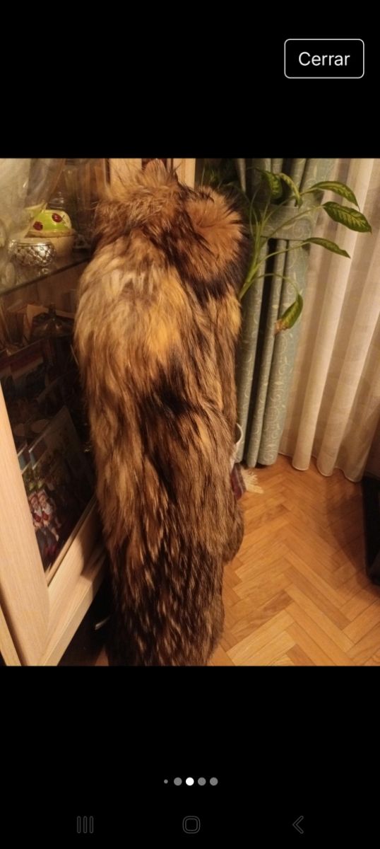 Chaquetón de piel de zorro