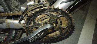 MTB sunn