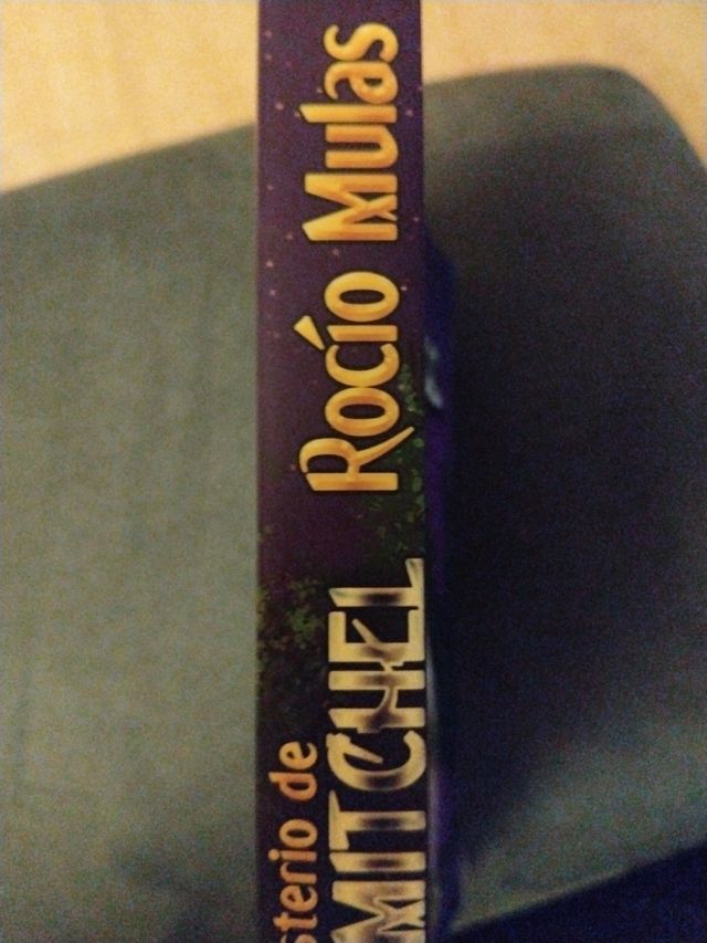 El misterio de Adam Mitchel (Spanish Edition)