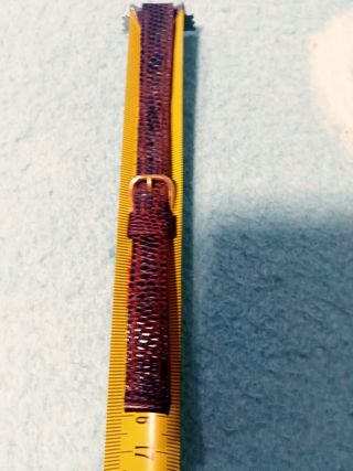 Correa reloj mujer, piel lagarto.