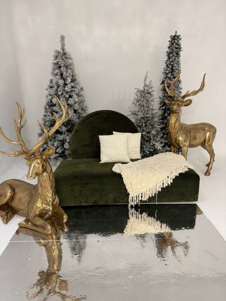 Boda, primera comunión, cumpleaños, revelación