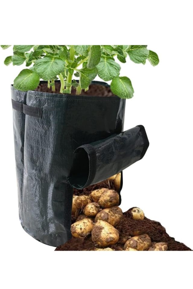 Bolsas de cultivo 30l