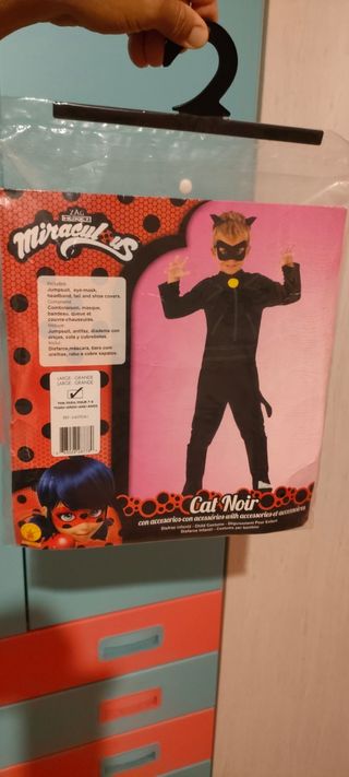 Disfraz de Cat Noir de Lady Bug