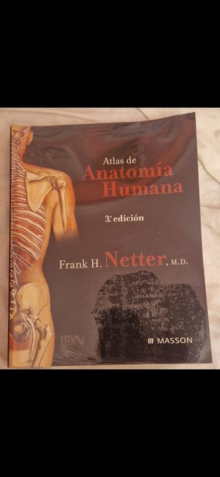 Atlas Anatomía Netter