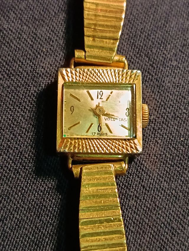 Reloj voluntad 17 Rubis bañado en oro