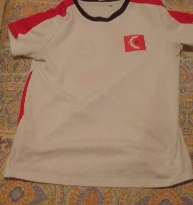 Camiseta,pantalón corto y gorra deportiva escolar