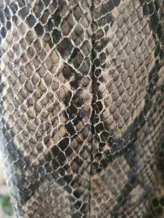 Botas cano alto animal print