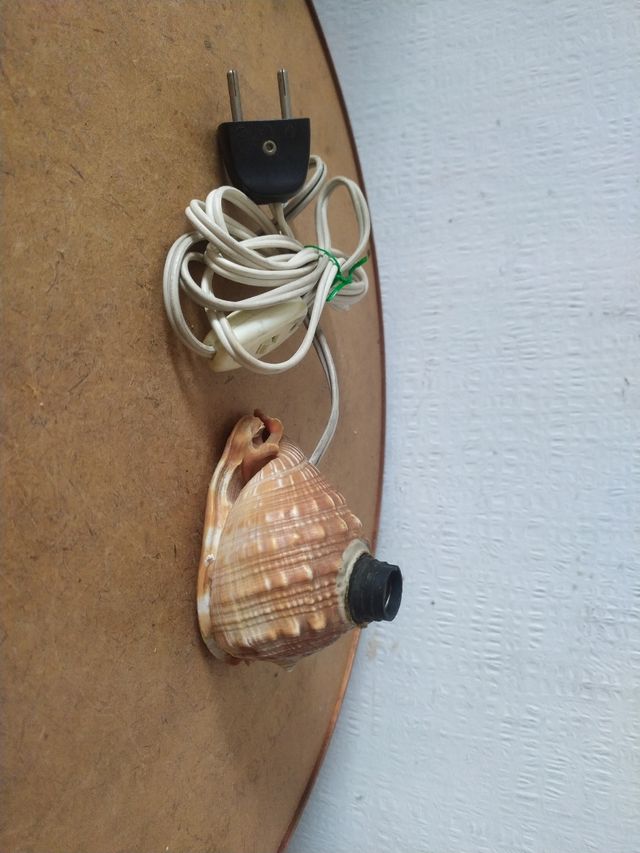 Lampada conchiglia antica