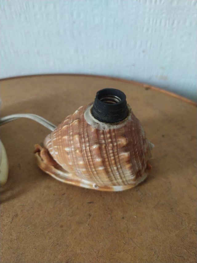 Lampada conchiglia antica