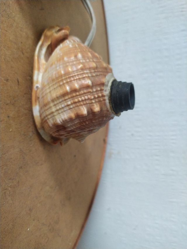 Lampada conchiglia antica
