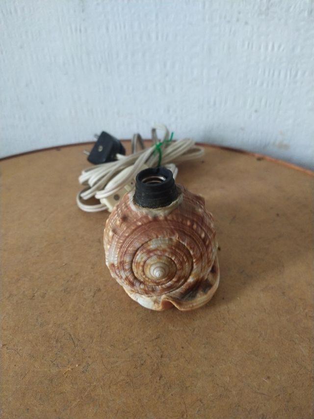 Lampada conchiglia antica