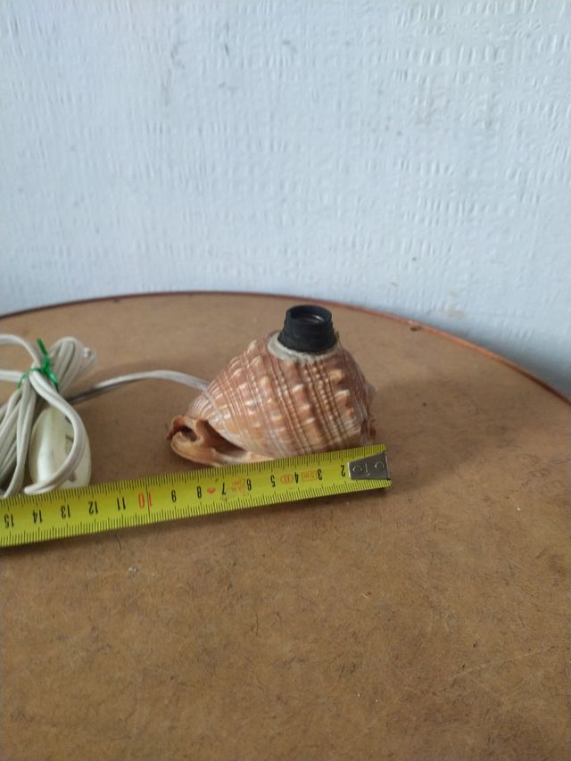 Lampada conchiglia antica