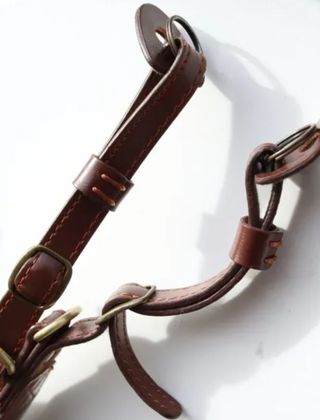 Custodia in pelle per Canon M50