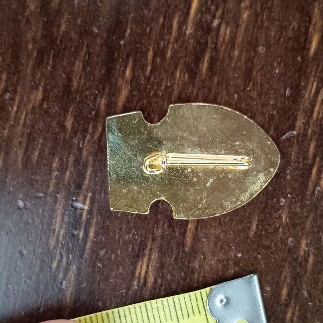 Pin Peineta y Senyera Valencia Metálico 