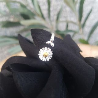ANILLO NUEVO
