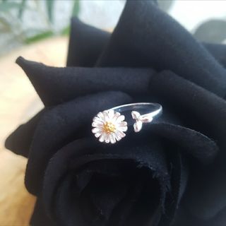 ANILLO NUEVO