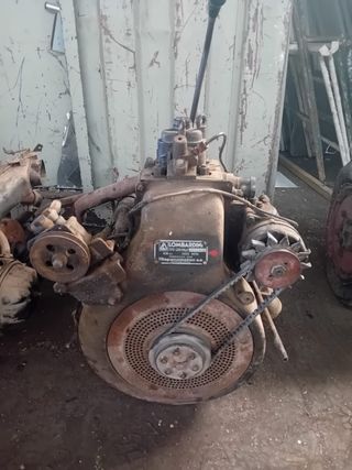 Motor y eje motocarro TRIMAK
