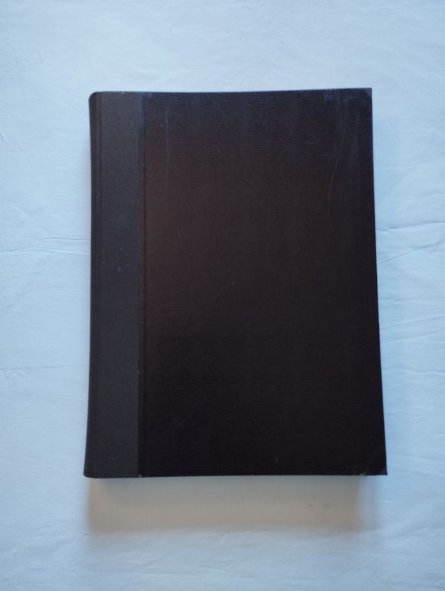 Annata corriere della sera 1929