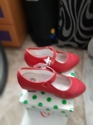 Zapatos flamenca 