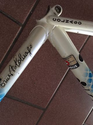 Corsa colnago