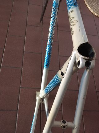 Corsa colnago