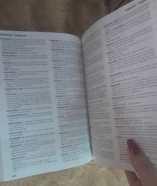 NUEVO DICCIONARIO ESCOLAR DE LA LENGUA ESPAÑOLA